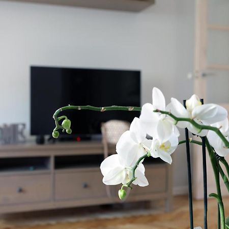 Apartament Turkus شتشيتسين المظهر الخارجي الصورة