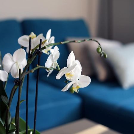 Apartament Turkus شتشيتسين المظهر الخارجي الصورة