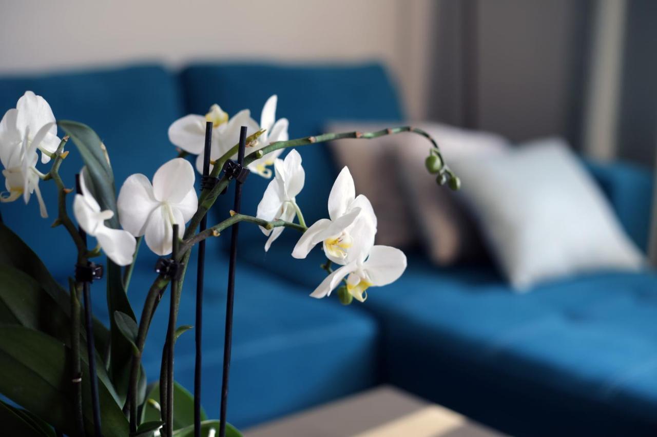 Apartament Turkus شتشيتسين المظهر الخارجي الصورة